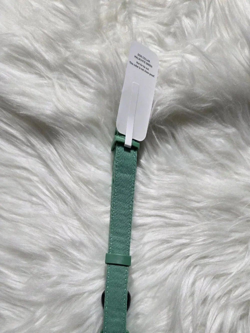 Frisco Monochromatic Green Dog Collar